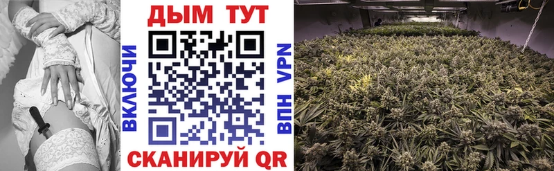 дарнет шоп  Лермонтов  Каннабис THC 21% 